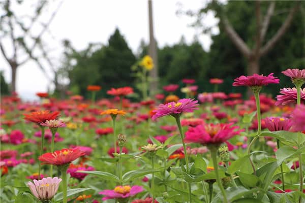 西安有幾個(gè)烈士陵園