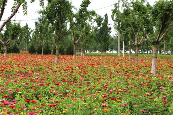 西安市公墓地址，永不離別